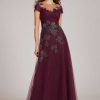 Clothing Teri Jon | Cap Sleeve Tulle Draped Bodice Beaded Applique Gown